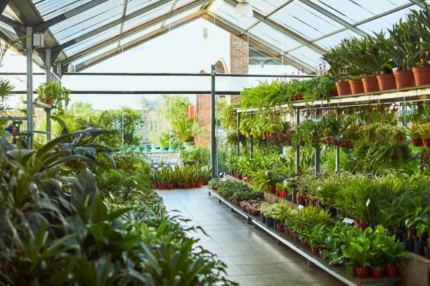 the benefits of plant nurseries webfreen.com